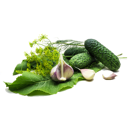 25177988 sweet and fresh carrots vegetable 25177988 sweet and fresh carrots vegetable