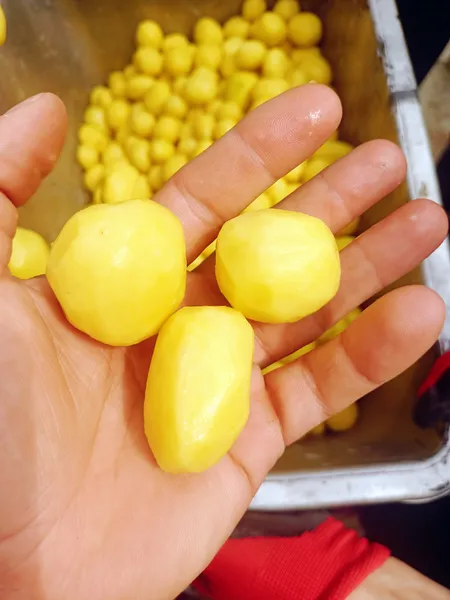 ziemnaiki 450 600 19