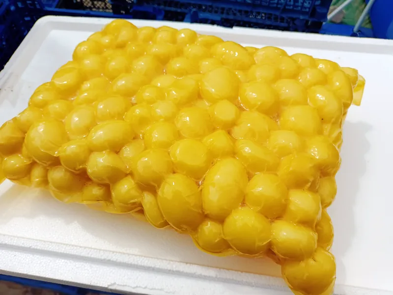 ziemnaiki 800 600 17