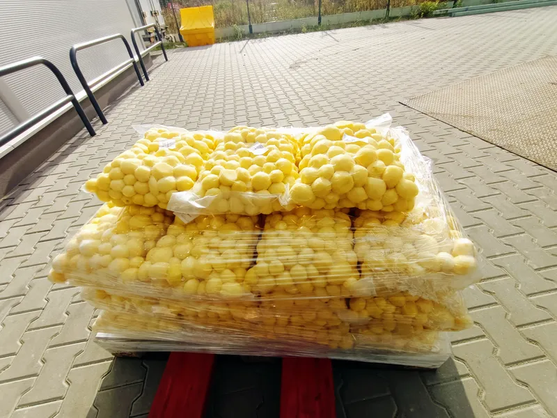 ziemnaiki 800 600 21